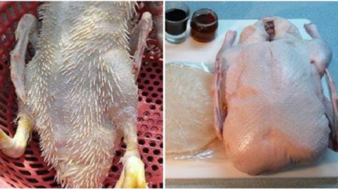 Cách nhổ lông vịt nhanh, sạch dành cho các bà nội trợ