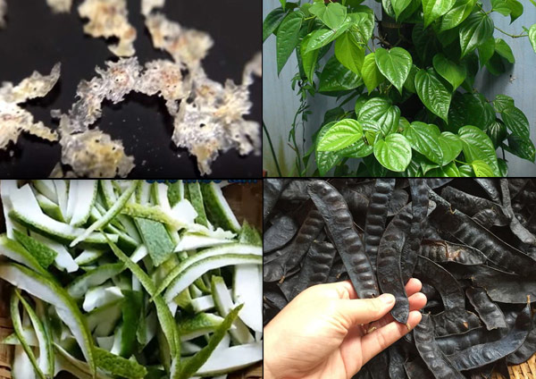 Cách trị gàu mùa đông cho chị em an toàn mà hiệu quả