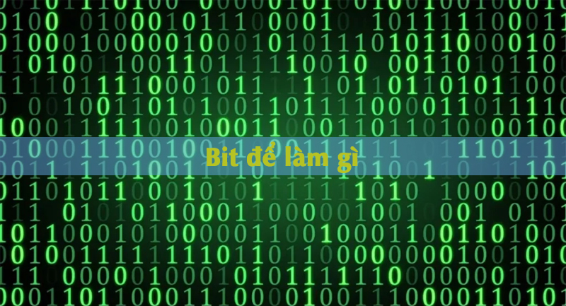 bit2