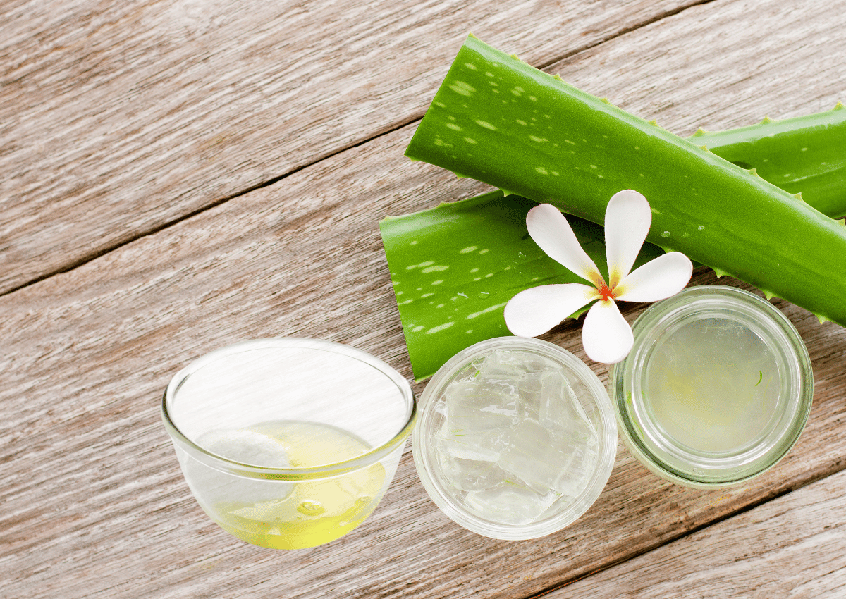10 Bí Quyết Làm Trắng Da Cùng Trứng Gà Đơn Giản Tại Nhà Bạn Đã Biết?